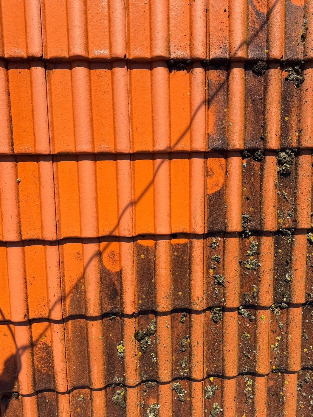 Detail tašky, napůl vyčištěná, napůl zarostlá mechem